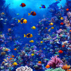 Colorful Tropical Fish and Coral Reefs in Vibrant Underwater Scene