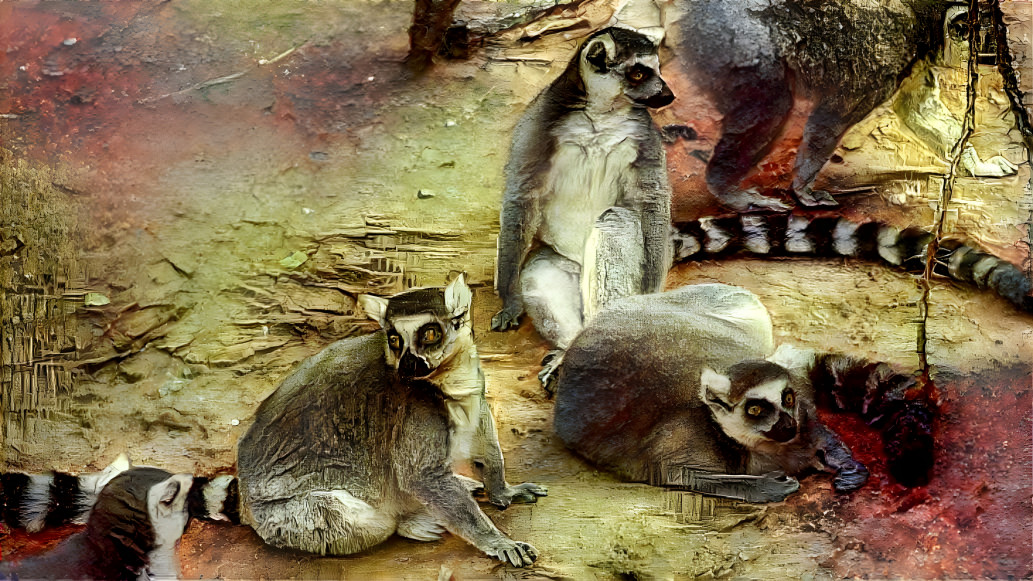 Why not more lemurs?