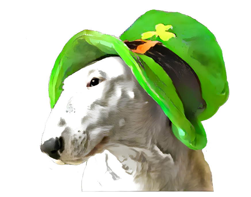 Bullterrier mixgreen hat