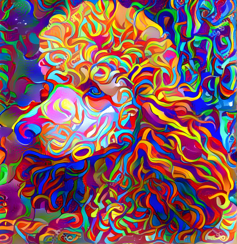 poodle oodle33