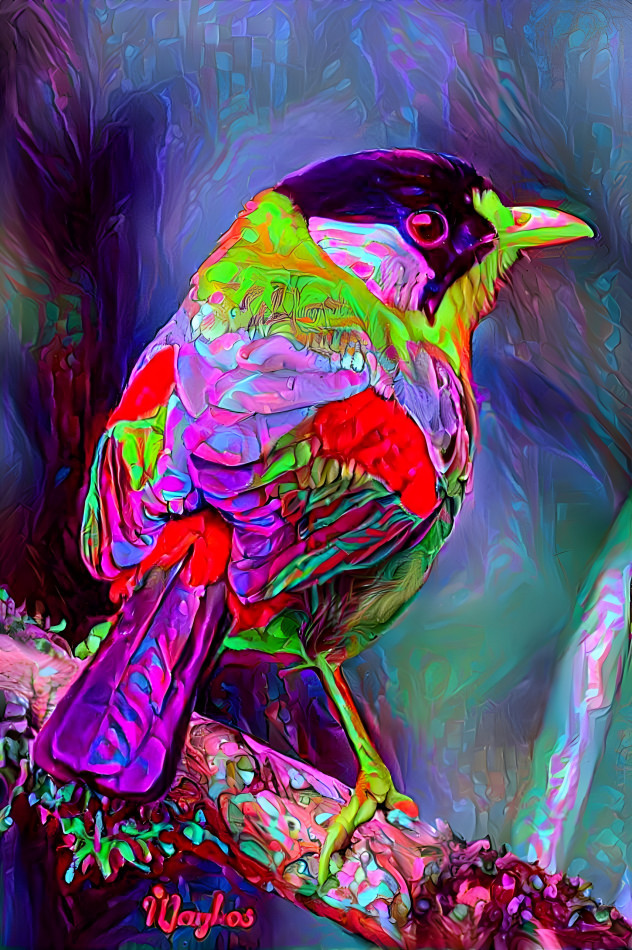 bird2