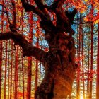 Majestic tree with glowing blue leaves under starry sky and warm sunset