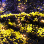 Enchanting forest scene with oversized purple mushrooms and glowing orbs