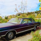 Vintage Car with Colorful Artwork in Tropical Paradise