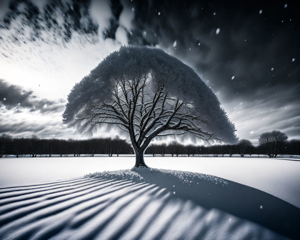 Solitary tree in snowy landscape under starry sky