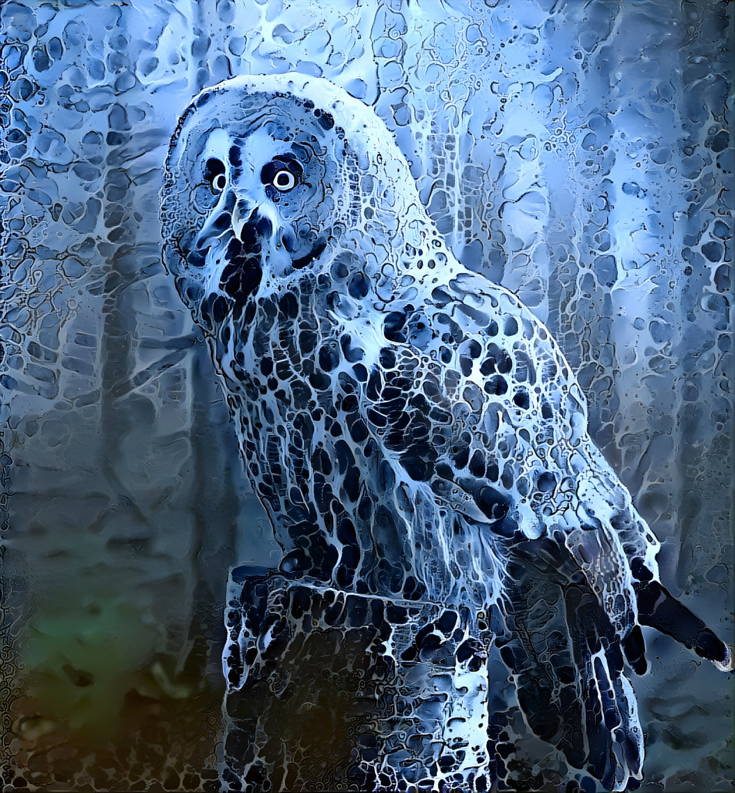 Blue Spotted Owl