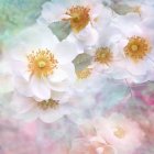 Delicate pink and white flowers in watercolor against blue and grey backdrop