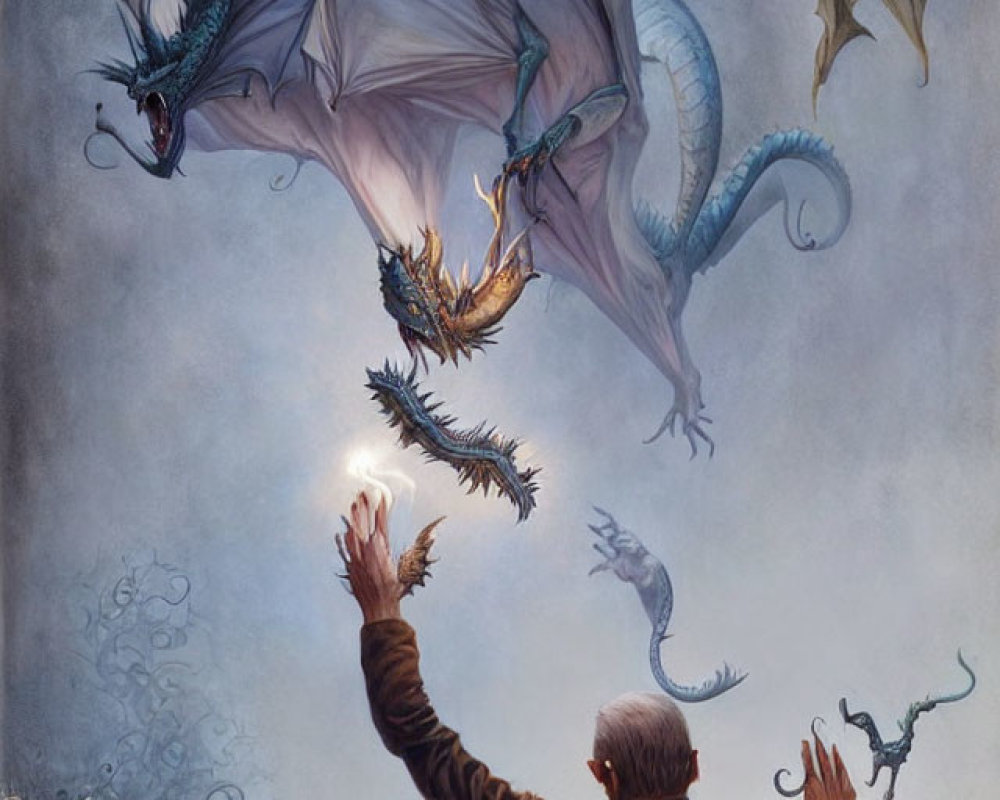 Person in Brown Cloak Interacts with Dragons in Mystical Setting