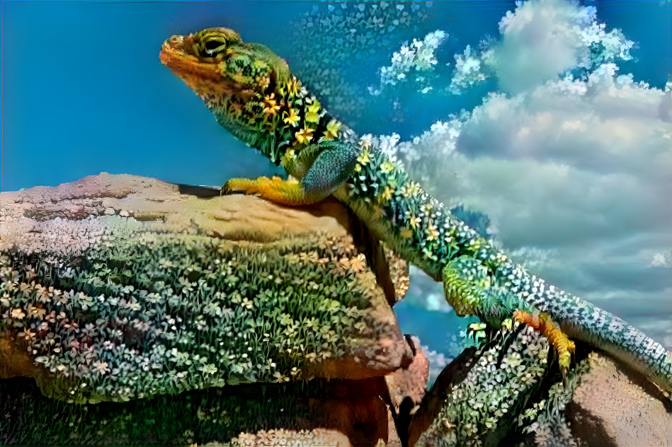 flowered lizard