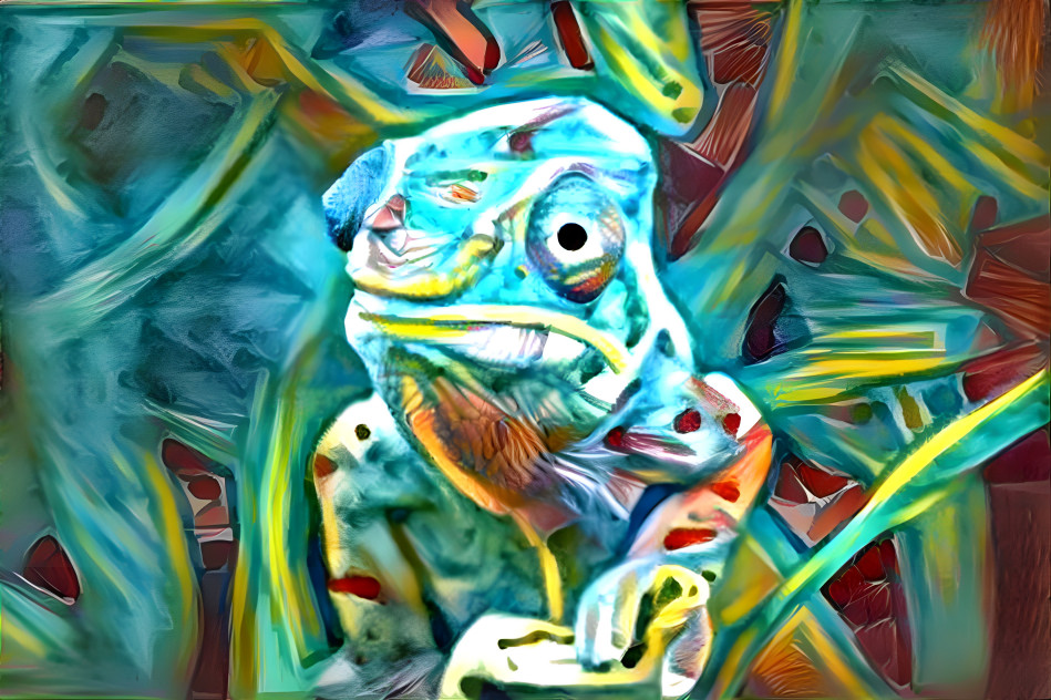 Amphibian Fun 19