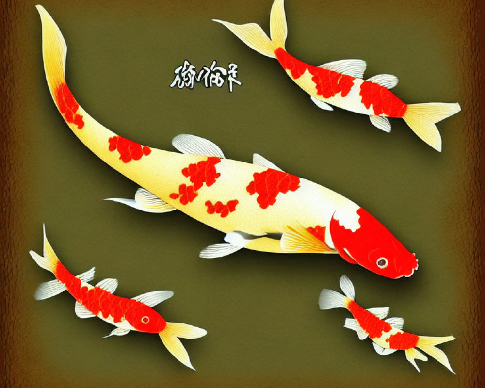 Ornamental koi fish swimming in Asian-style setting