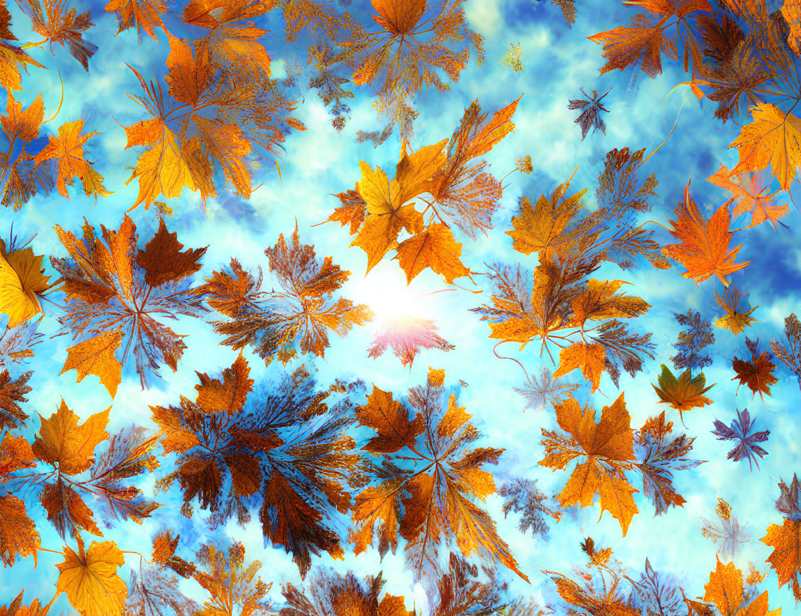 Colorful autumn leaves falling under bright blue sky with fluffy clouds