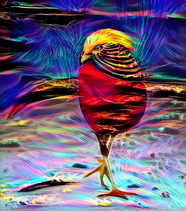 Unusual Bird