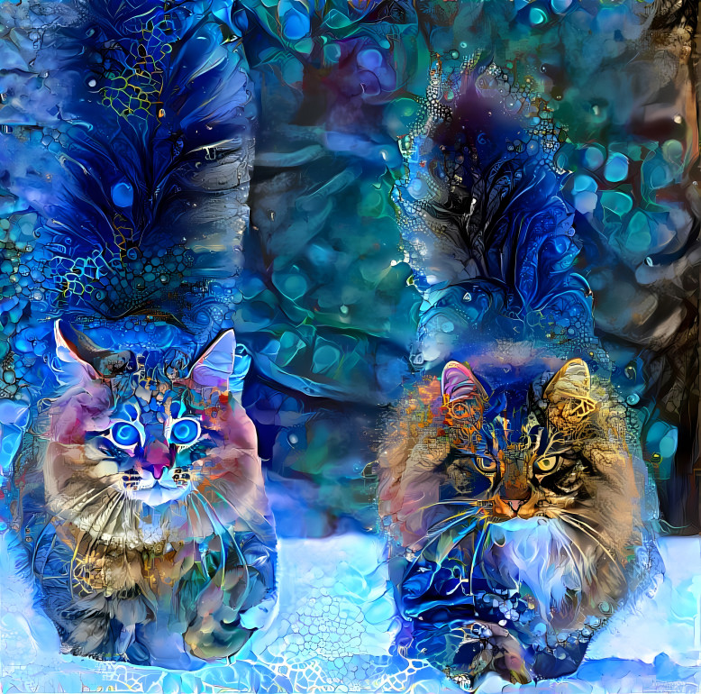 Two cats in a forest