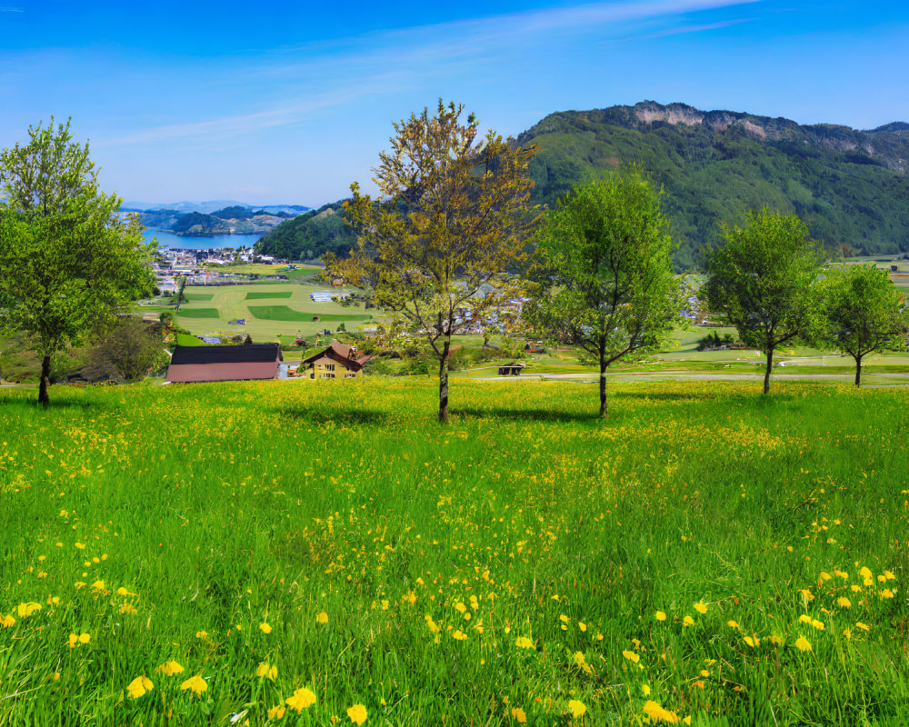 Scenic landscape with meadow, flowers, trees, town, hills, and sky