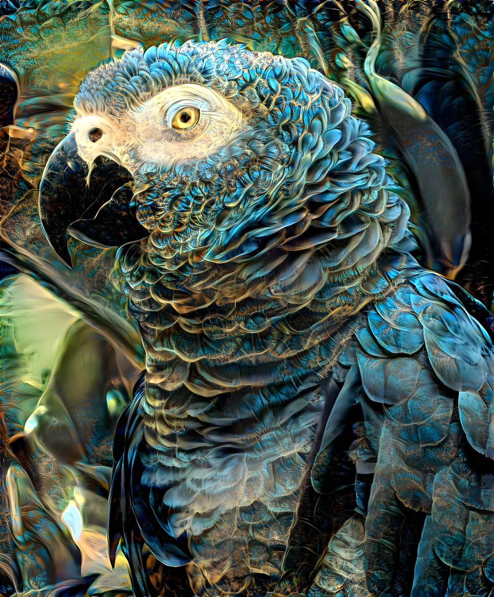 African Grey Parrot- Bali Bird Park 