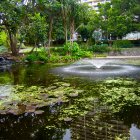 Tranquil pond with lily pads, statue, and cityscape