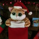 Fluffy cat in Santa hat inside Christmas stocking with decorations