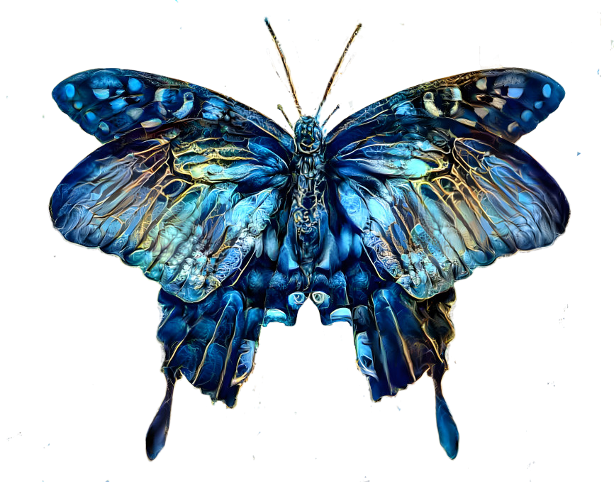 butterfly　2＃　220713