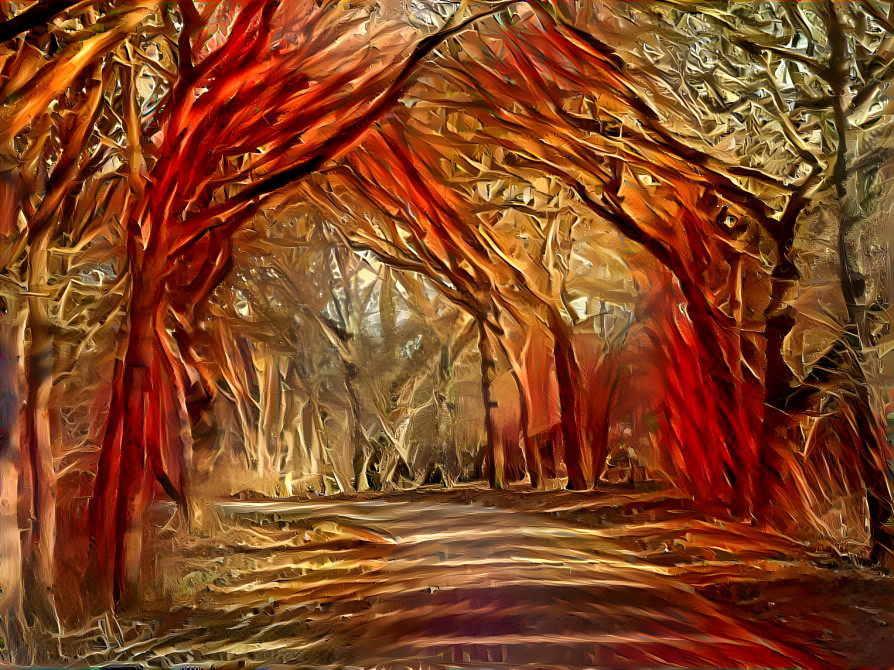 The burning forest.