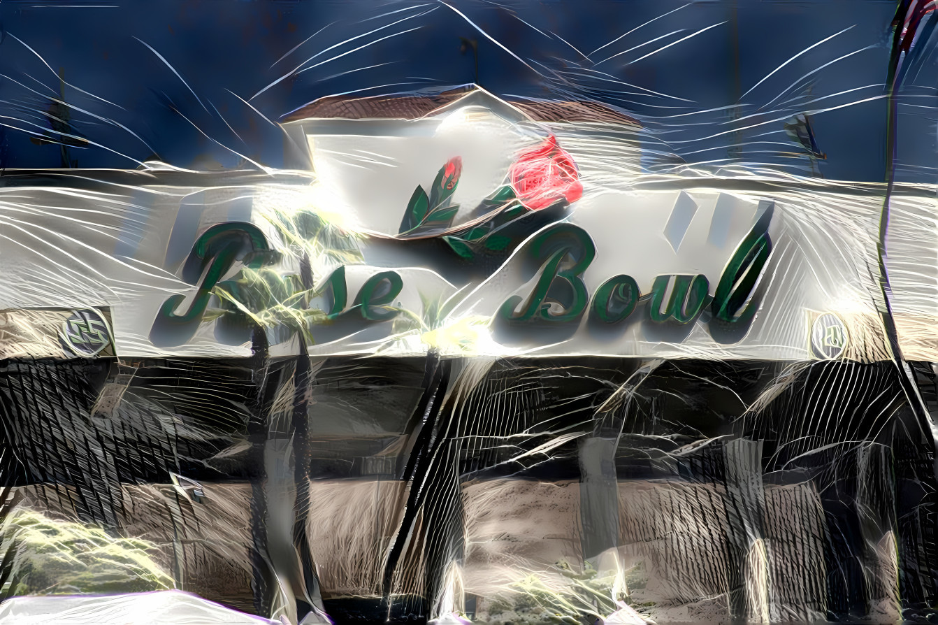'The Rose Bowl'