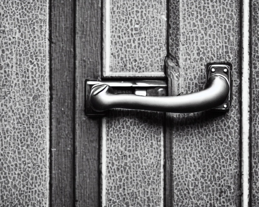 Monochrome image of textured door with metal handle