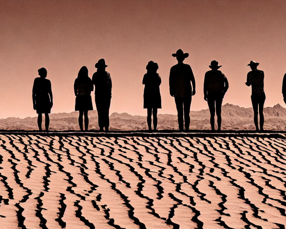 Nine individuals in hats standing in a desert landscape