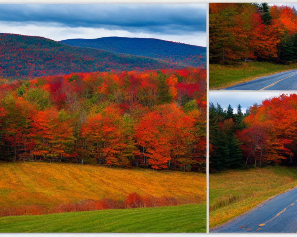 Collage of Three Autumnal Scenes with Red and Orange Foliage