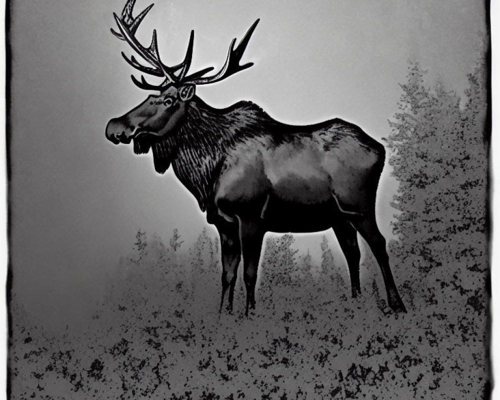 Stylized black and white moose with antlers in misty forest landscape