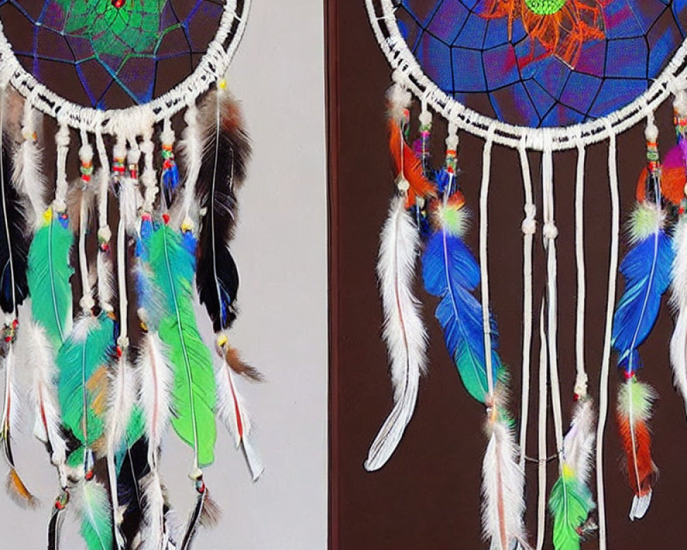 Colorful Dreamcatchers with Intricate Webbing and Feathers