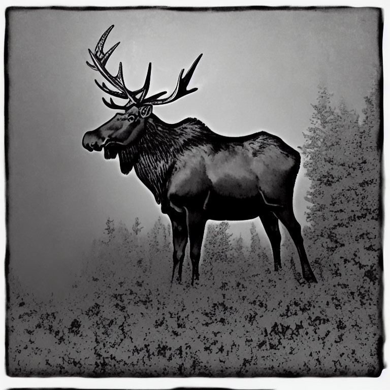 Stylized black and white moose with antlers in misty forest landscape