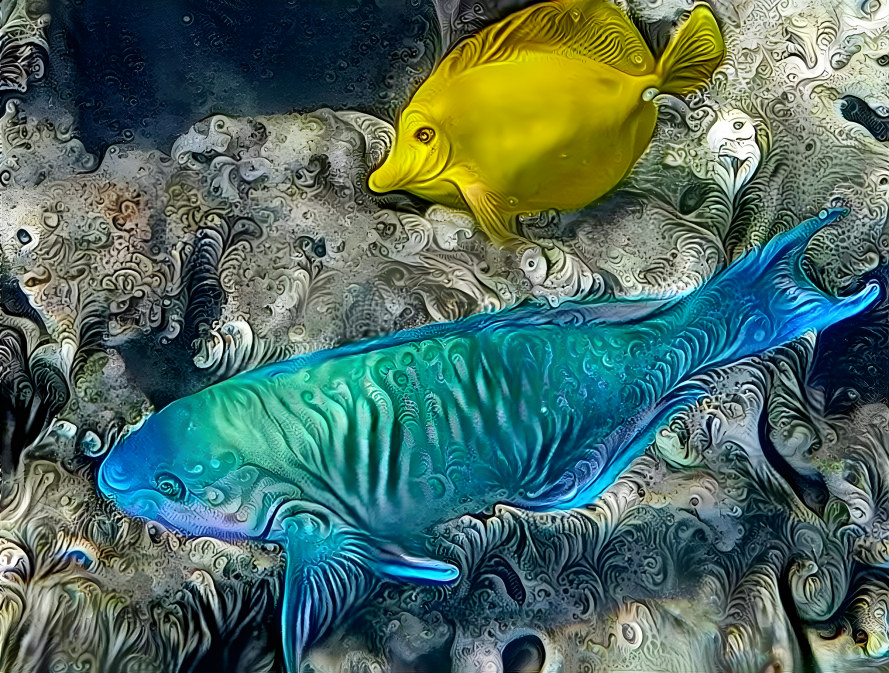 Uhu-Parrot fish and yellow tang