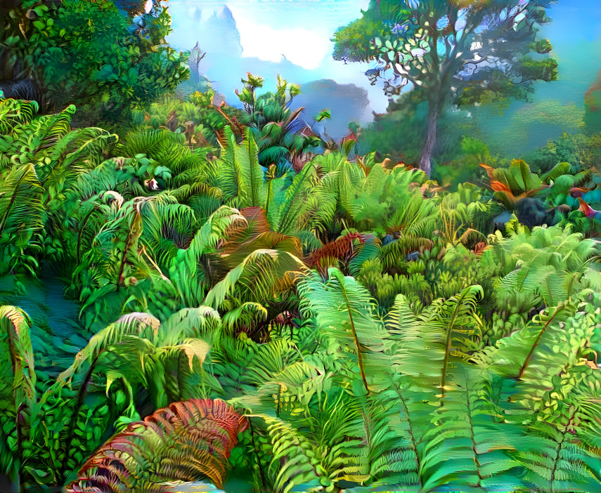 Ferns in the rainforest