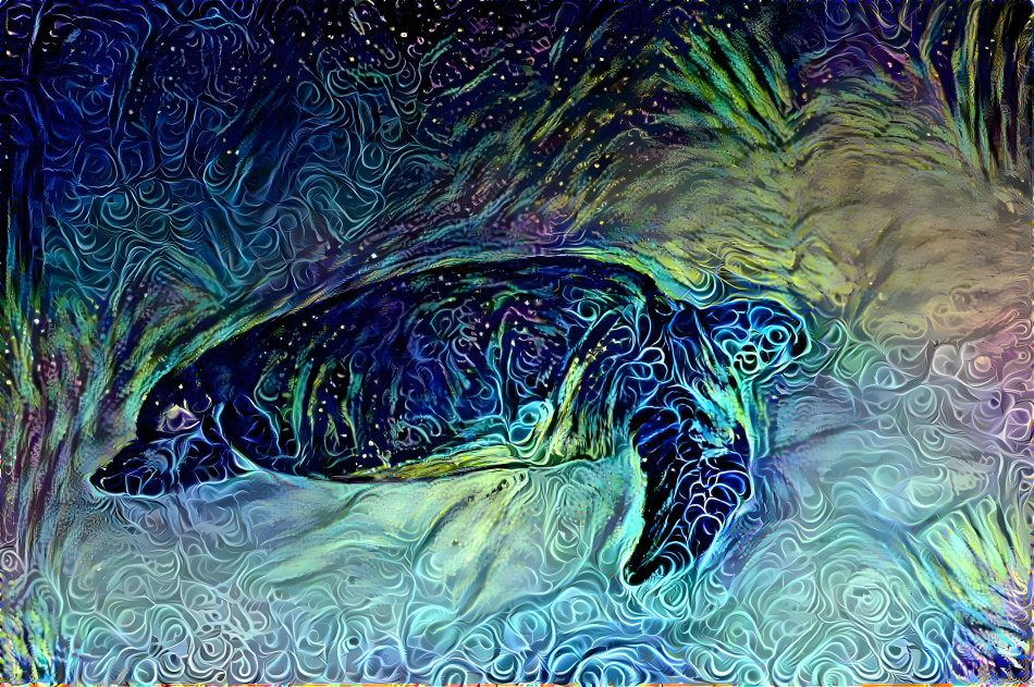 Green Sea Turtle on the beach at night