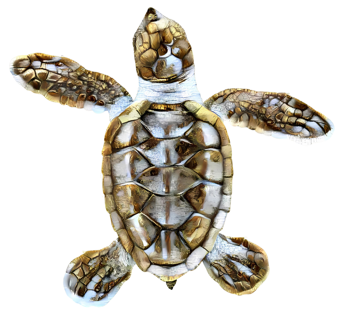 gold and white turtle