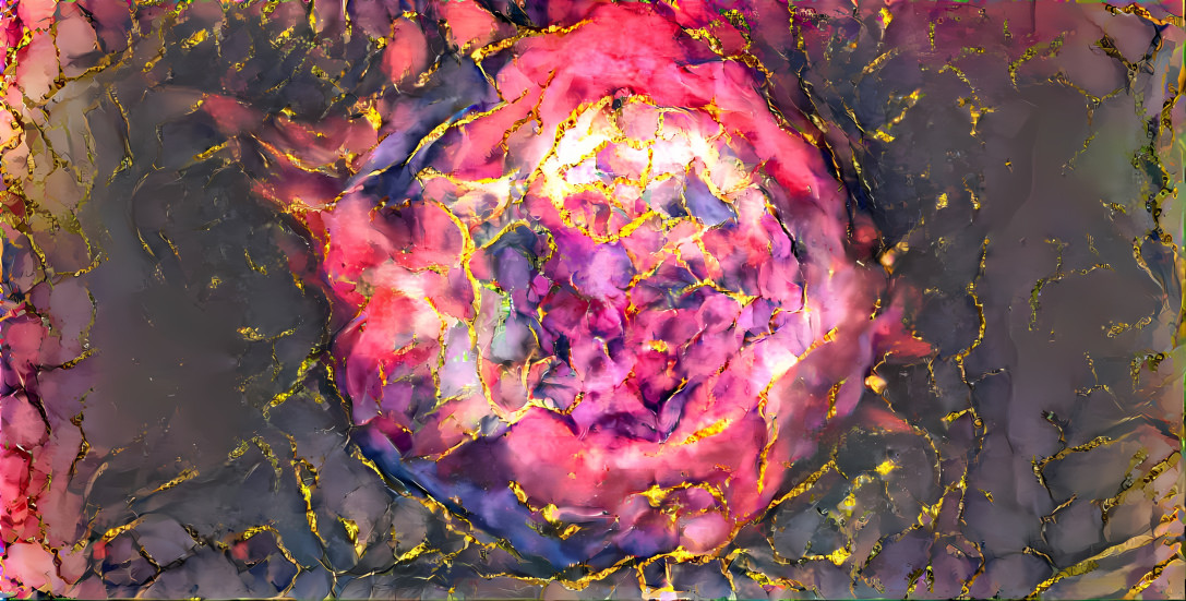 supernova rose