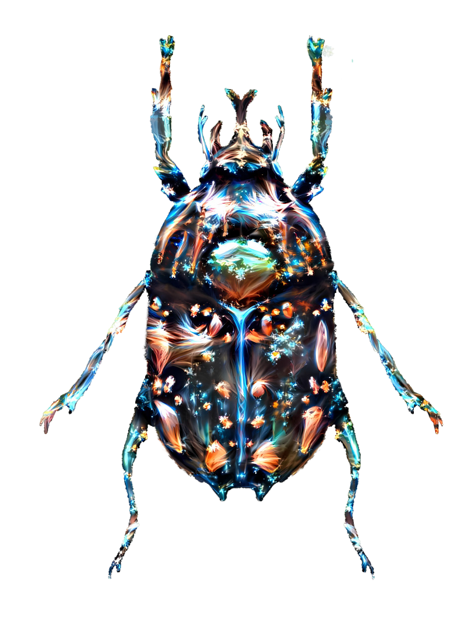 galaxy beetle