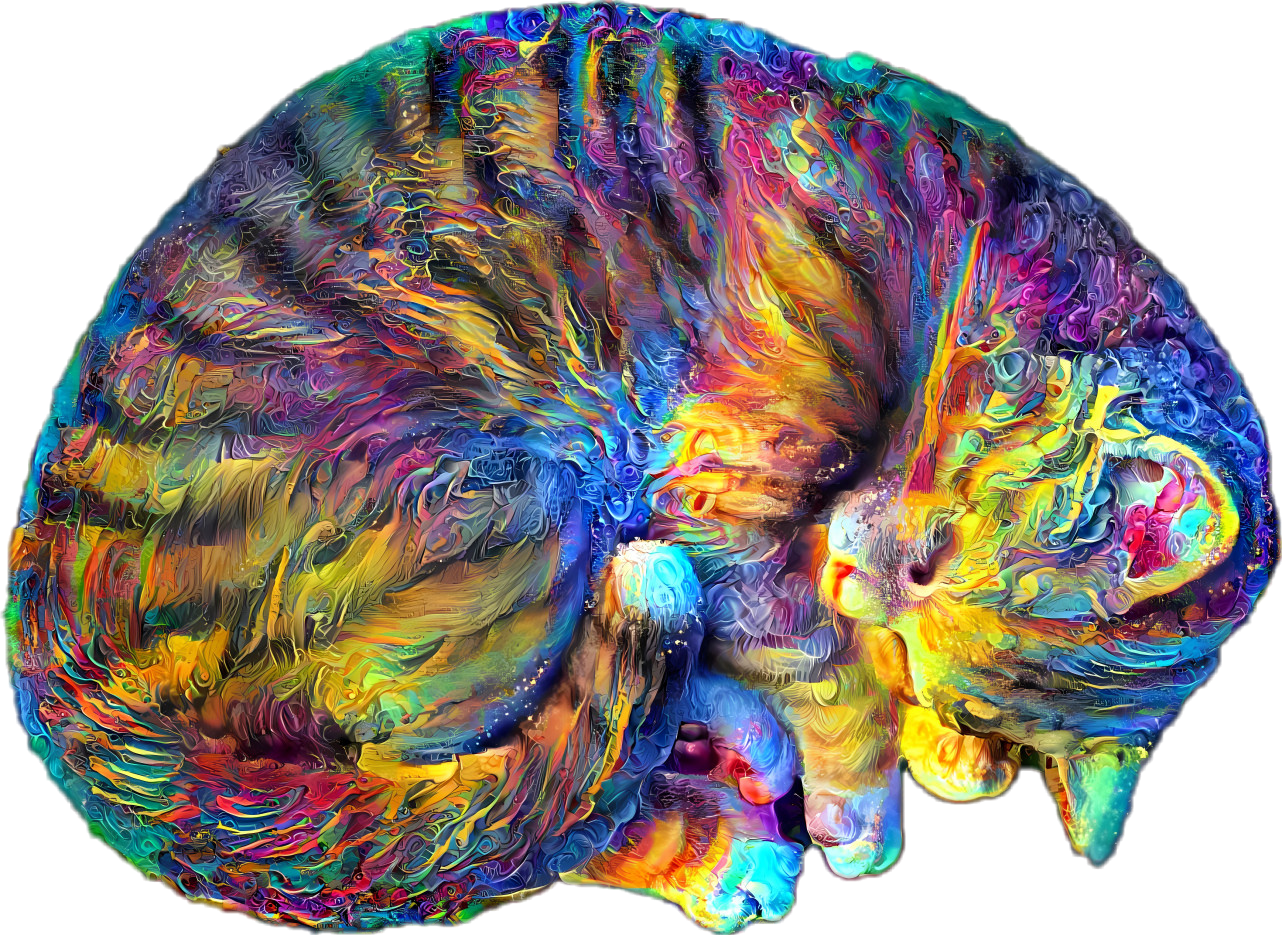 sleeping colorful cat