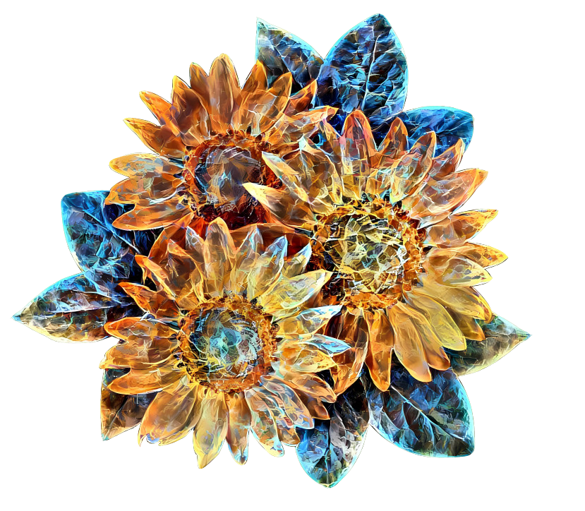 energy sunflower