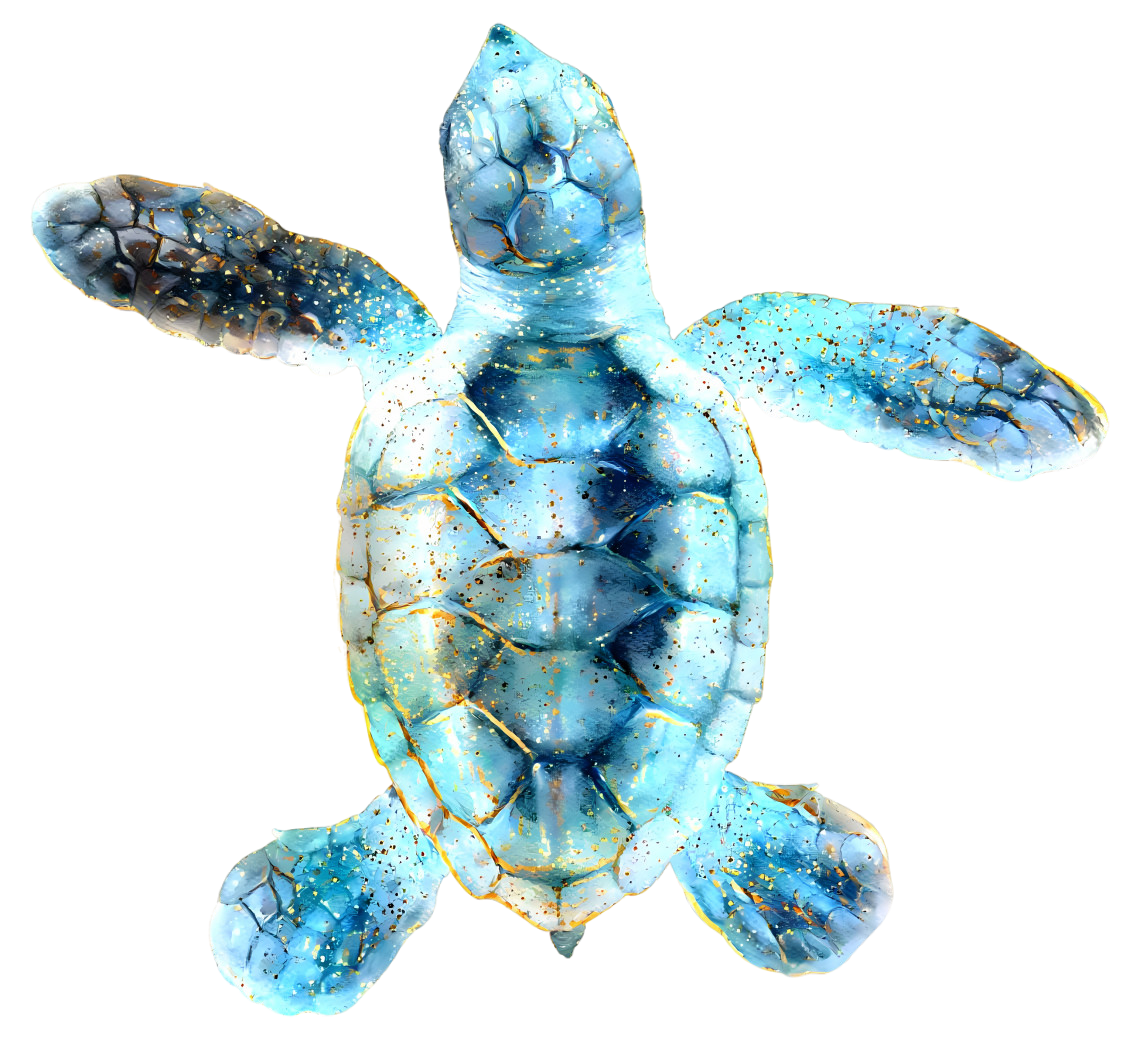 sky blue and golden turtle
