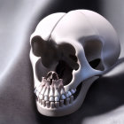 Digital painting featuring large cracked human skull with primate skull, bones, and snail shells on dark