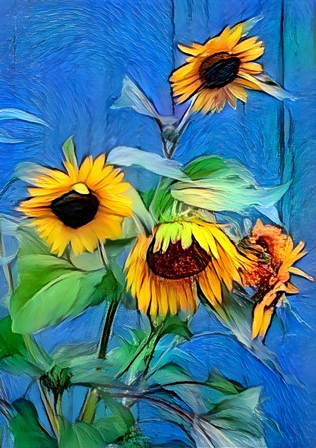 A BUNCH OF SUNFLOWERS