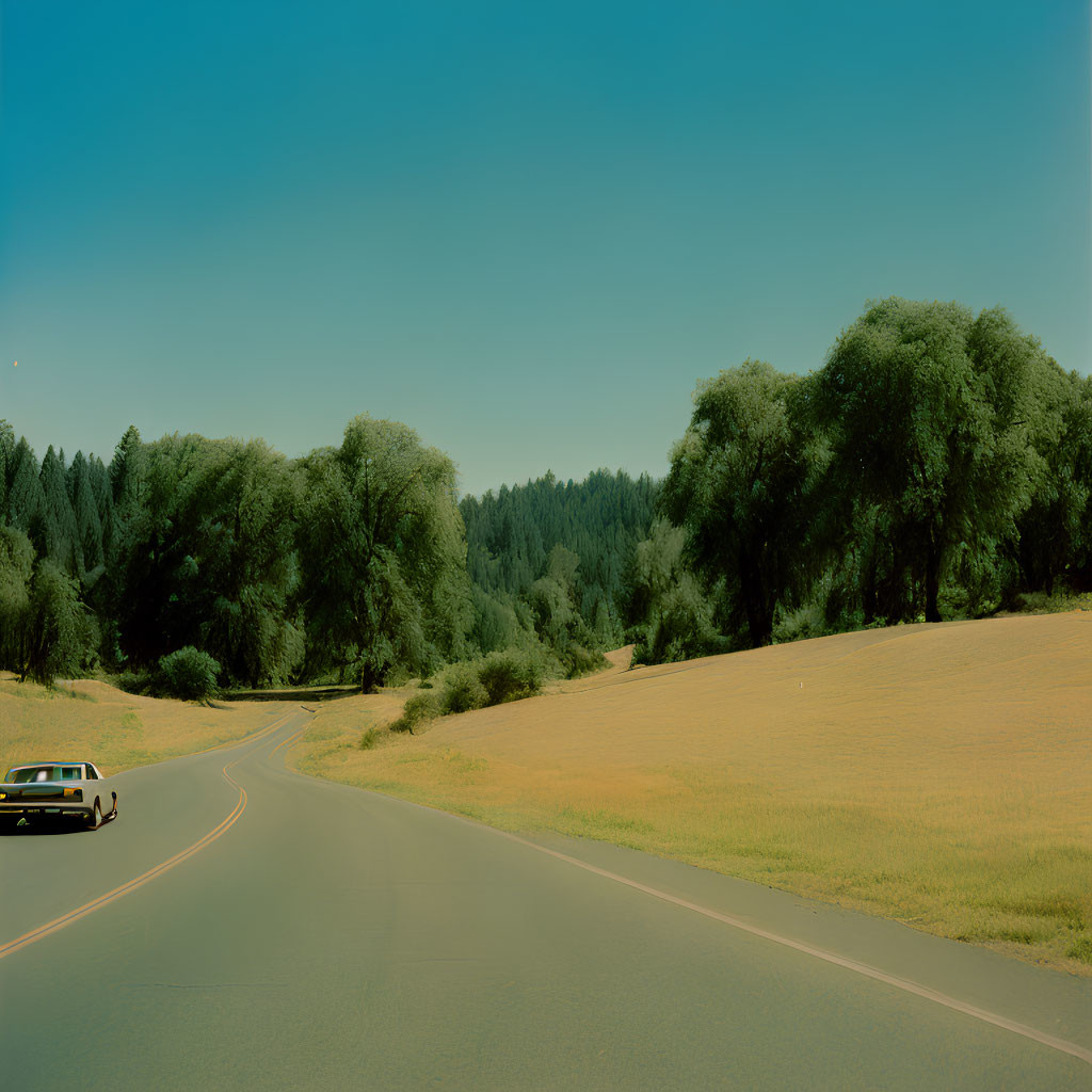 Tranquil scene of a winding road with car, trees, and fields