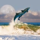 Dolphins leaping over stylized waves in celestial scene