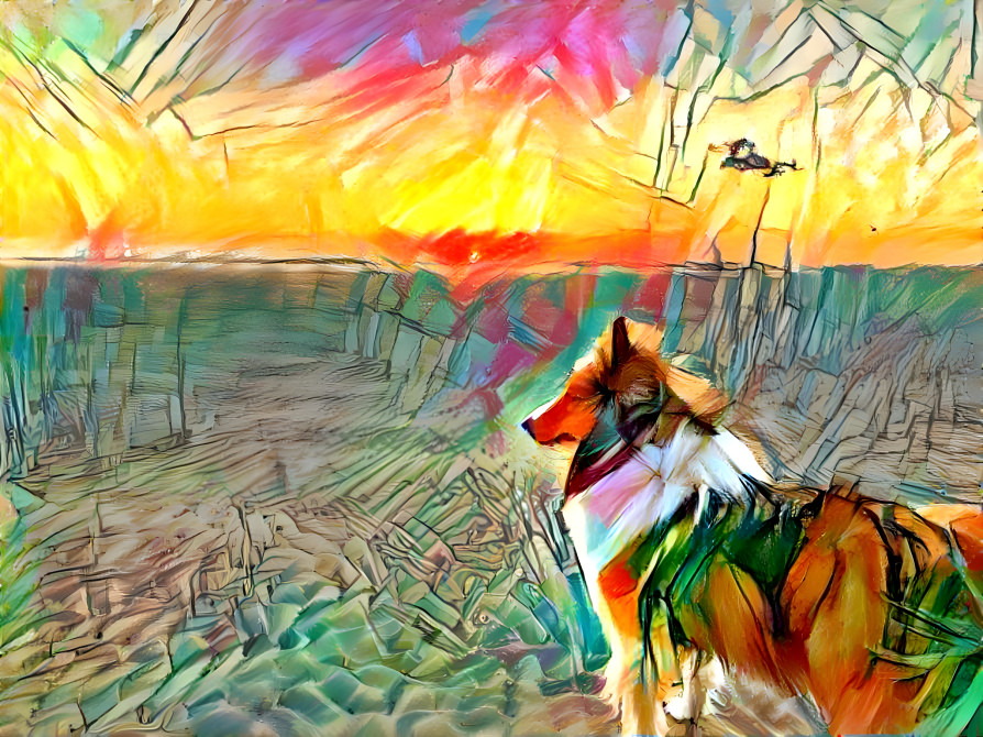 Dog in the Desert