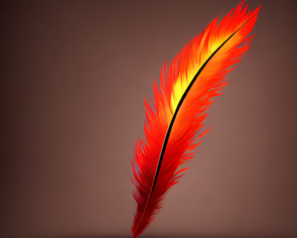 Vibrant orange and red feather on muted brown background