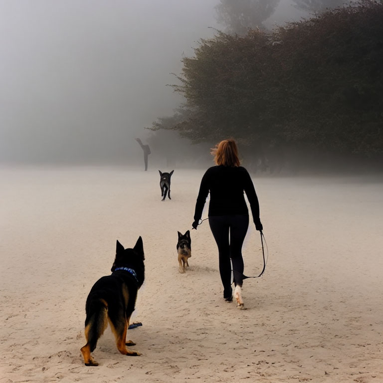 Woman walking two German Shepherds in foggy landscape with distant figure.