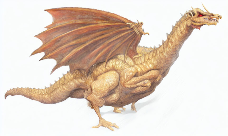 Detailed Two-Headed Dragon Illustration with Expansive Wings