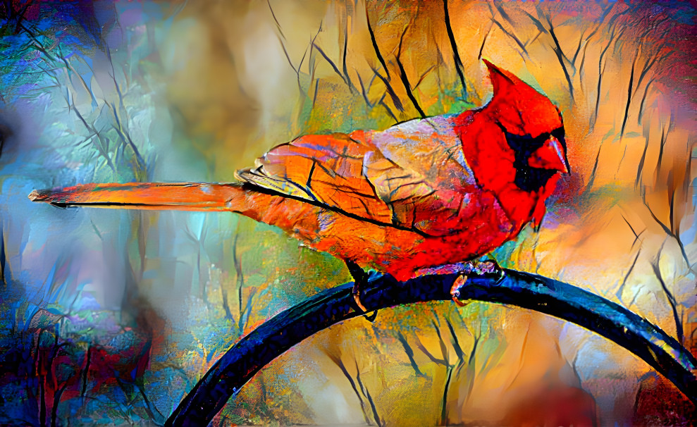 Dreamy Cardinal 