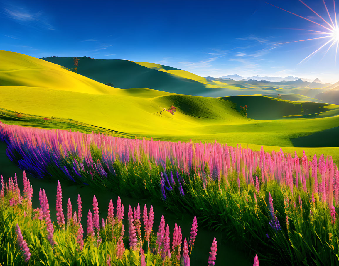 Scenic landscape with rolling hills, lupine flowers, and bright sun